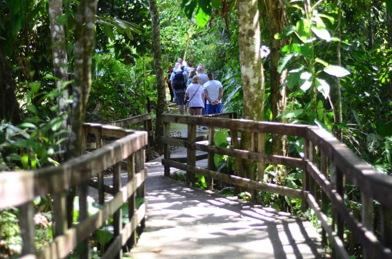 Veragua Rainforest Puerto Limon Zewnętrze zdjęcie