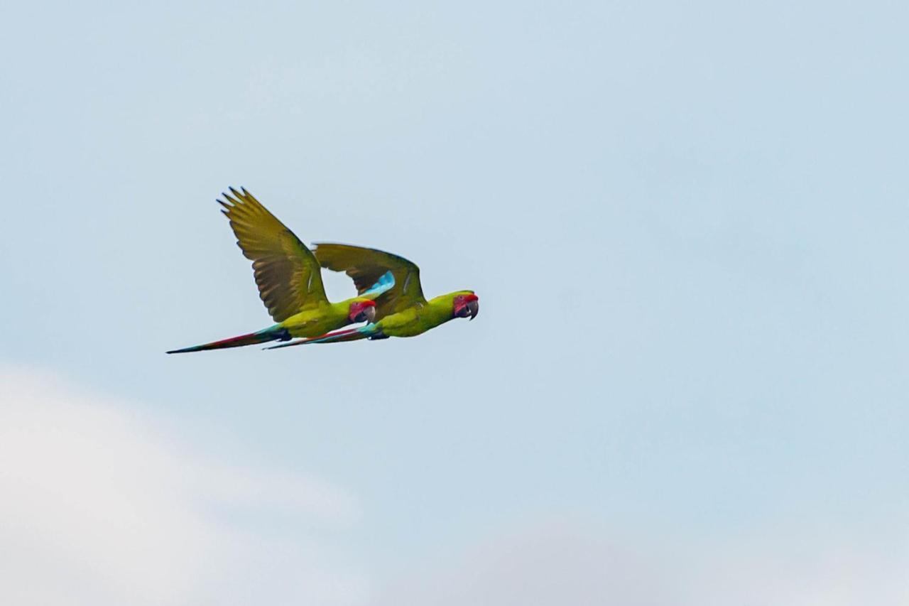 Veragua Rainforest Puerto Limon Zewnętrze zdjęcie